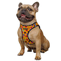 Мягкая шлейка для собак малых и средних пород Нейлоновая светоотражающая с принтом Sport Vest Пончики