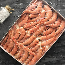 Креветка Лангустин без голови, розмір С1 (35-55 шт/фунт).