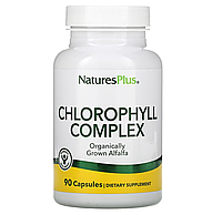 Хлорофіл, Chlorophyll, Nature's Plus, 90 капсул. (NAP-01080)