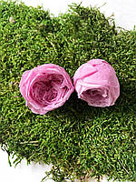 Роза стабилизированная пионовидная розовый 3-4 см.