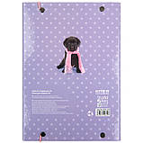 Папка для зошитів на гумці Kite Studio Pets SP23-210, картонна, фото 4