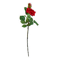 Роза "Лаура", красная, 47 см Ku