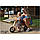 Дерев'яний триколісний біговел 2 в 1, Rider plus Free2Move 42868, фото 4