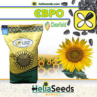 Семена подсолнечника гибрид ЕВРО (под Евро-Лайтнинг) посевной материал стандарт