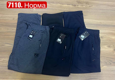 Чоловічі спортивні штани, прямі №7110 р.М-3XL (46,48,50,52,54), фото 2