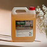 Білизна анти жир професійний засіб для видалення жиру 5 л, фото 8