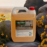 Білизна анти жир професійний засіб для видалення жиру 5 л, фото 2