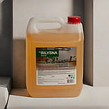 Білизна анти жир професійний засіб для видалення жиру 5 л, фото 3