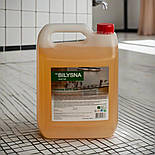 Білизна анти жир професійний засіб для видалення жиру 5 л, фото 6