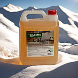 Білизна анти жир професійний засіб для видалення жиру 5 л, фото 9