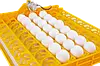 Лоток автоматичного перевороту для інкубатора на 56 яєць БЕЗ мотора BF, фото 4