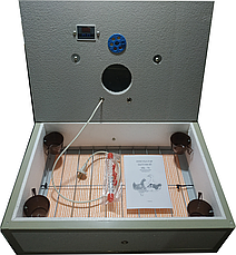 Інкубатор механічний Наседка 100 з цифровим терморегулятором BF, фото 2