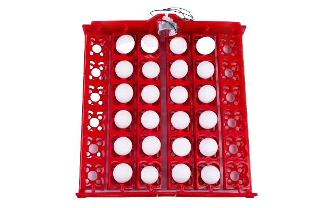 Лоток автоматического переворота для инкубатора на 36 (144) яиц с мотором 220в BF - фото 4 - id-p2098382145