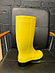 Гумові чоботи жіночі стильні жовті, фото 3