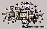 Сімейне дерево Love на 11 фото, родинне дерево на стіну з фото рамками, фото 4