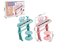 Пианино игрушечное MTK 022 2 цвета, подсветка, микрофон, 10 мелодий, 7 инструментов, функция записи, разборные