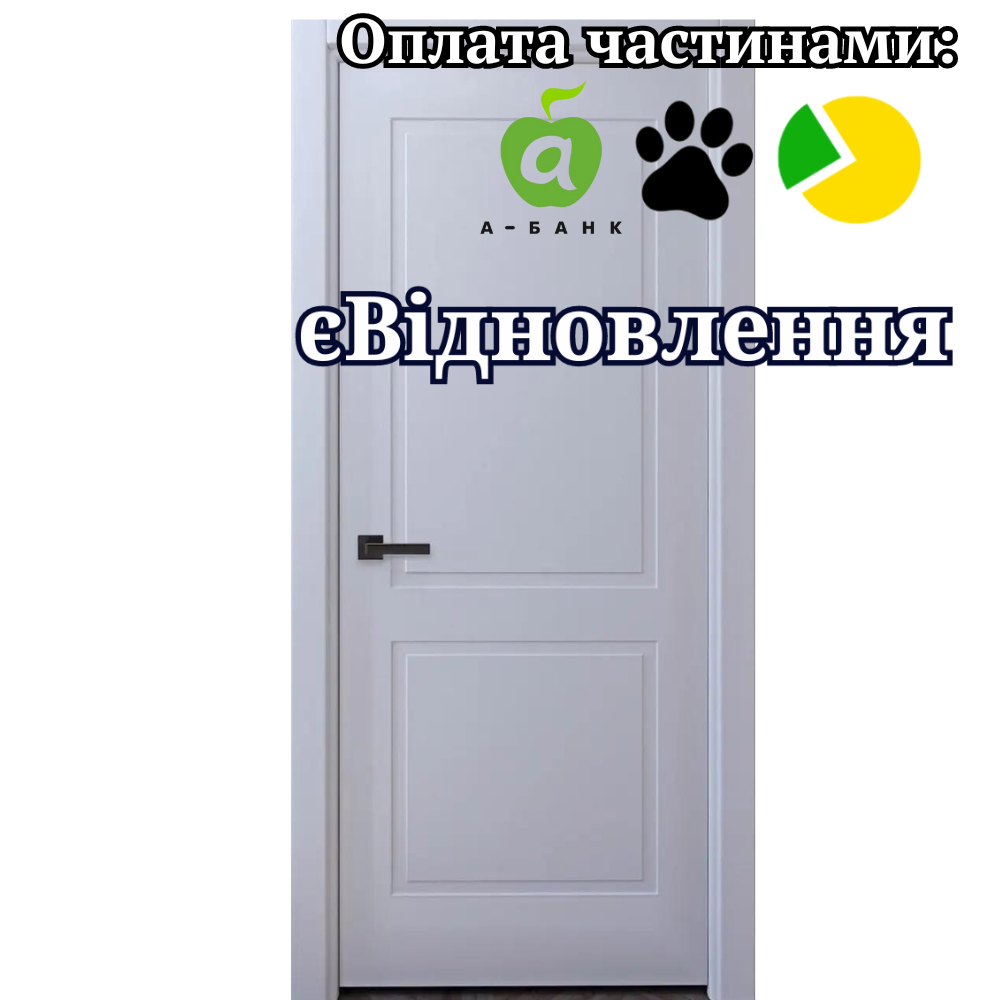 Двері фарбовані Вінниця City