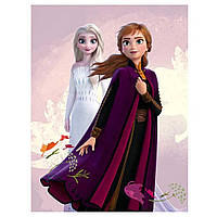 Детский флисовый плед Disney Frozen II Холодное сердце Анна и Эльза