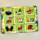 Вкладки де чий візерунок, фото 3