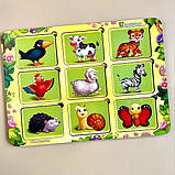 Вкладки де чий візерунок, фото 4