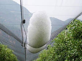 Сітка полімерна Tenax “Дефендер“ зелена (3х100м)