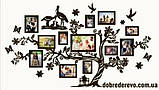 Сімейне дерево Storks на 11 фото рамок, родинне дерево на стіну з фото рамками Лелеки, фото 4