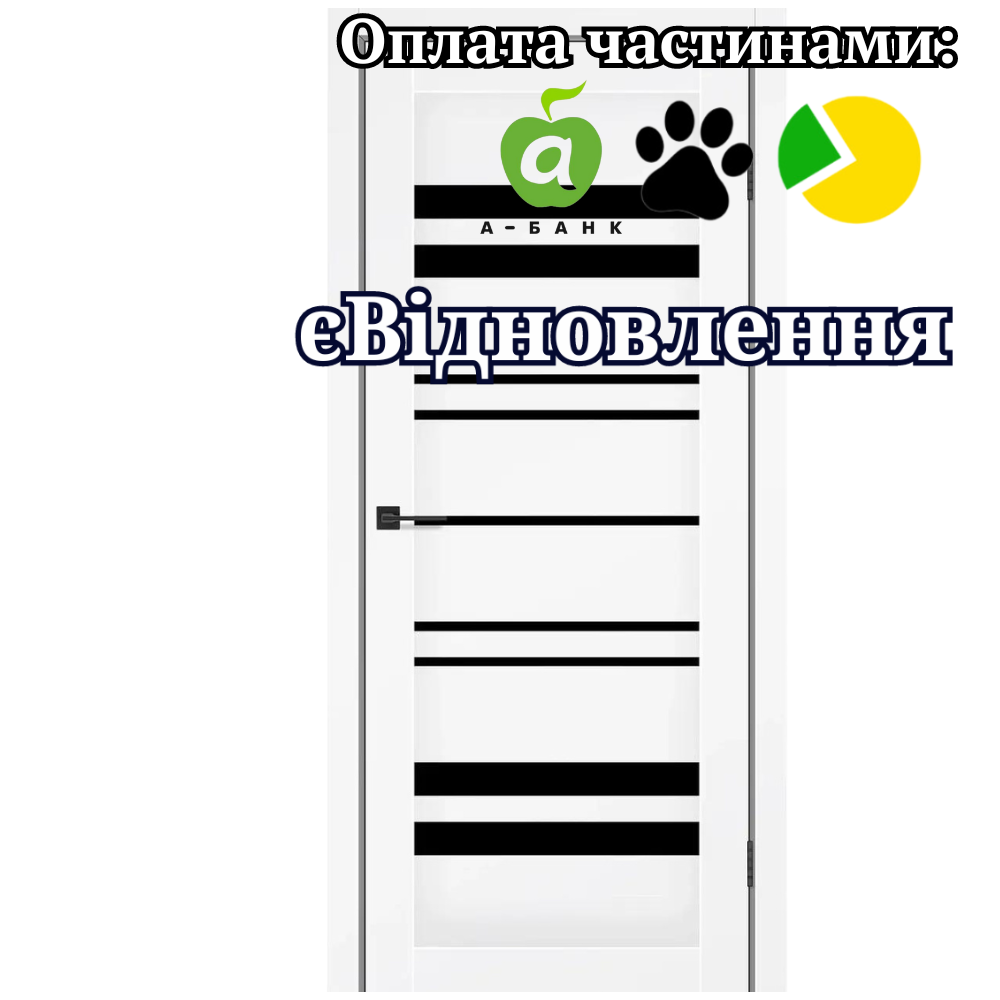 Двері Comfort Сніжний мат екошпон зі склом Чорний