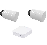 Tervix Комплект Pro Line EVA2 (2 шт.) и контроллер Tervix ZigBee Gateway, Белый