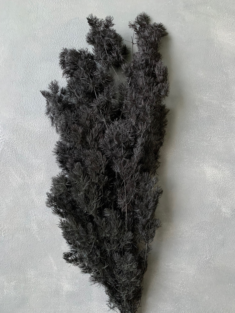 Аспарагус стабілізований чорний (80 гр)
