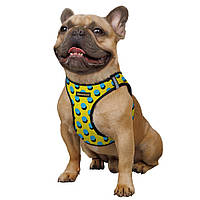 Шлейка для собак Bronzedog Sport Vest для малых и средних пород шлея с Принтом светоотражающая Поп Арт