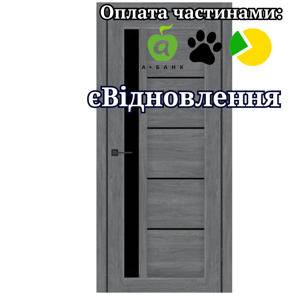Двері Grand Бук Графітовий зі склом Чорний