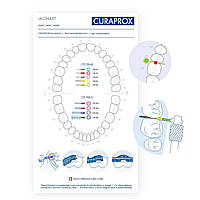 Карта пациента Curaprox к зондам Perio-Prime для измерения межзубных промежутков, 50 шт