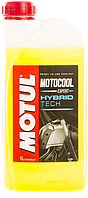 MOTUL Motocool Expert -37°C (1L)