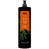 Invidia BOTOPLUS Argan shampoo шампунь для окрашенных волос с аргановым маслом 1 000 мл