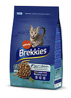 Сухий корм Affinity Brekkies Cat Salmon and Tuna для дорослих котів з лососем і тунцем 3,5 кг