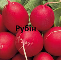 Семена редиски Рубин (Укр)