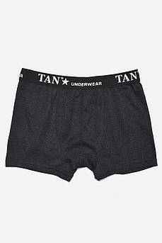 Боксери чоловічі темно-сірого кольору р.M 173231M