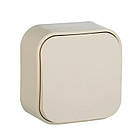 Прохідний вимикач 1-клавішний Forix Слонова кістка [782434] Legrand