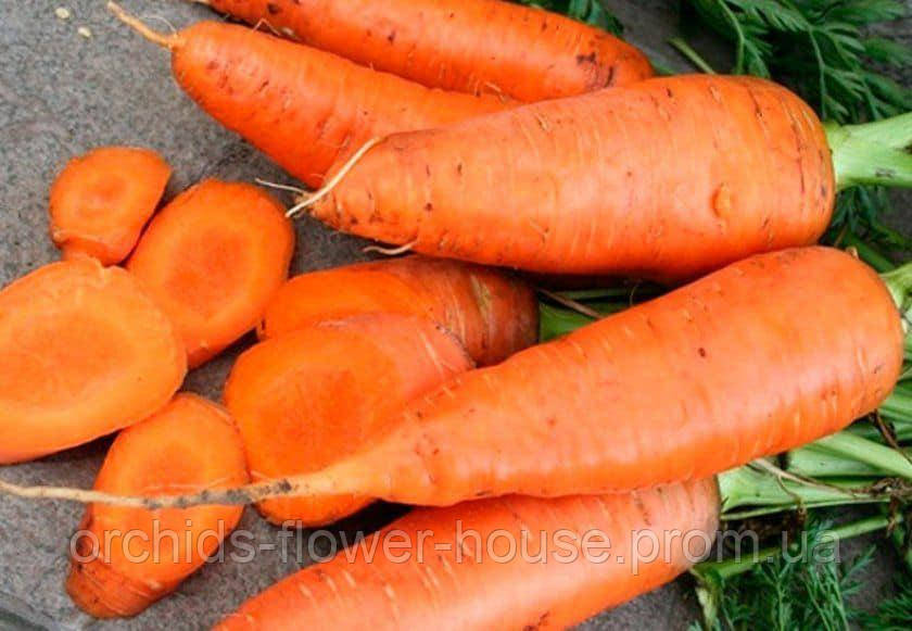 Насіння Морква Шантане Роял (Королівська) 3 г