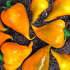 Перець солодкий Леся помаранчева з носиком 10 шт (zip-paket), фото 2