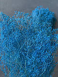 Гіпсофіла міні синя, фото 3
