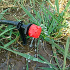 Система поливу для саду 10м, BD 181 / Комплект для краплинного поливу городу / Система автоматичного поливу, фото 6