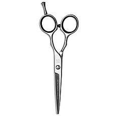 Ножиці для стриження волосся Artero Queen Plus 6.0 (Т63360)