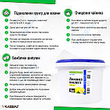 Лимонна кислота 4кг Харчова добавка Е 330, вищий гатунок, фото 3