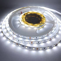 LED стрічка Biom Professional SMD2835 60шт/м 6.5W/м IP20 12V (7500-8000К) BPS-G3-12-2835-60-CW-20 14496, фото 3