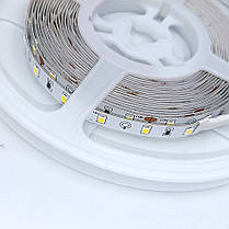 LED стрічка Biom Professional SMD2835 60шт/м 6.5W/м IP20 12V (7500-8000К) BPS-G3-12-2835-60-CW-20 14496, фото 3