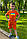 Костюм літній для хлопчика, футболка і шорти, кулір і двохнитка, від 86см до 146 см, фото 4