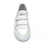 Жіночі шкіряні кеди кросівки білого кольору на ліпучці Sergio Billini 597/100/W розмір 36, фото 3