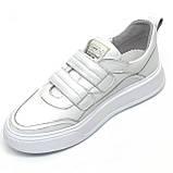 Жіночі шкіряні кеди кросівки білого кольору на ліпучці Sergio Billini 597/100/W розмір 36, фото 8