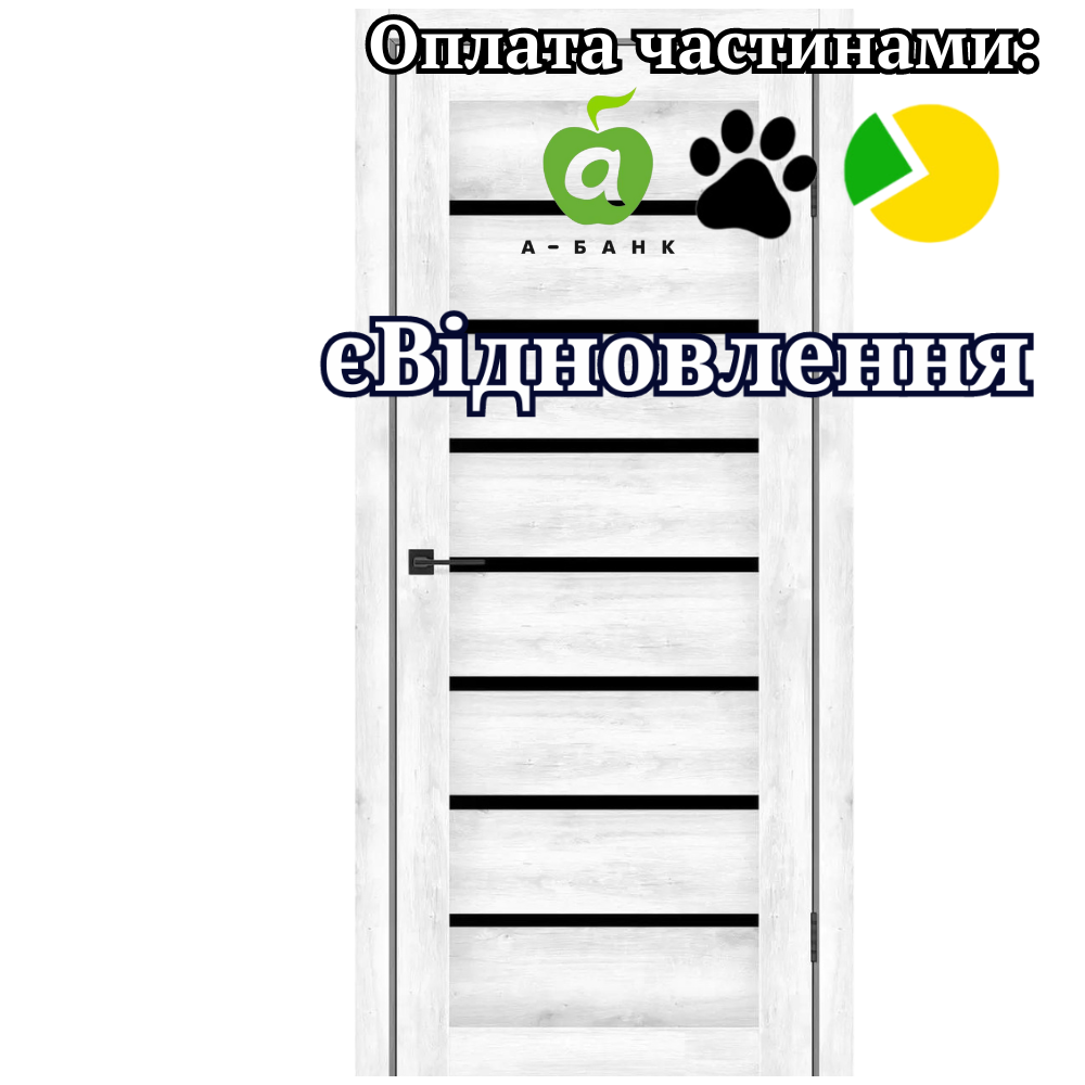 Двері Lira Дуб Сірий зі склом Чорний